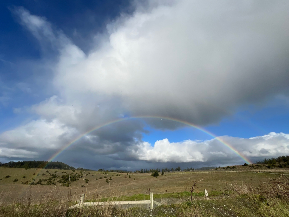 rainbow over LaFarge Open Space